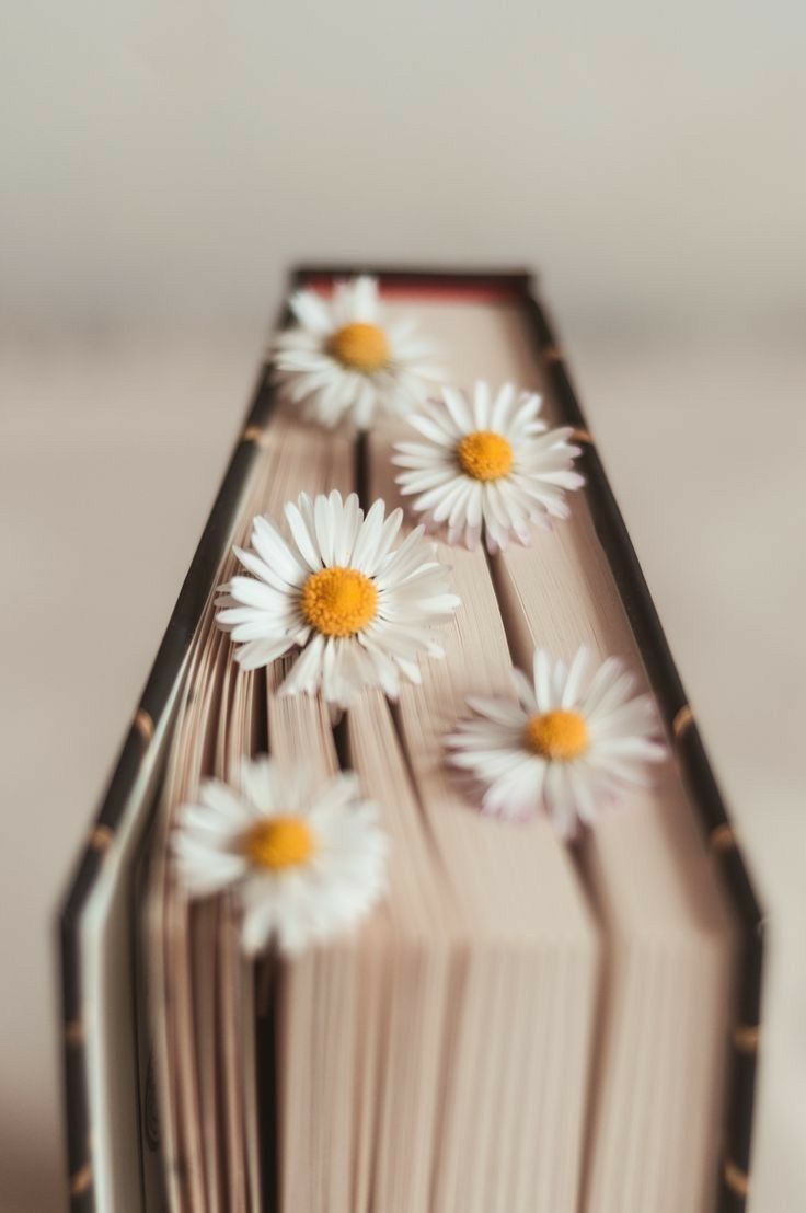 Margaritas en libro